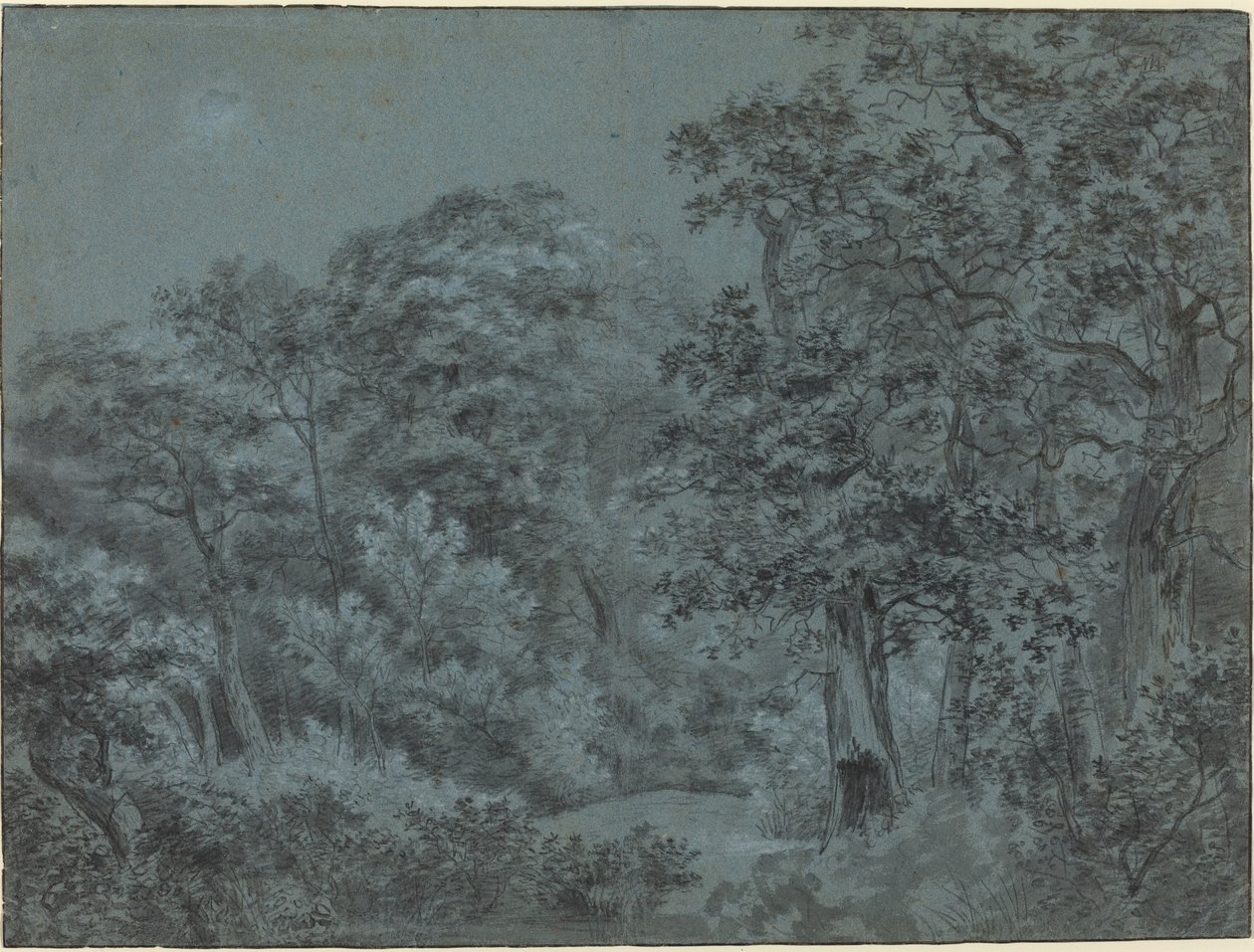 Dans les bois de La Haye - Simon de Vlieger