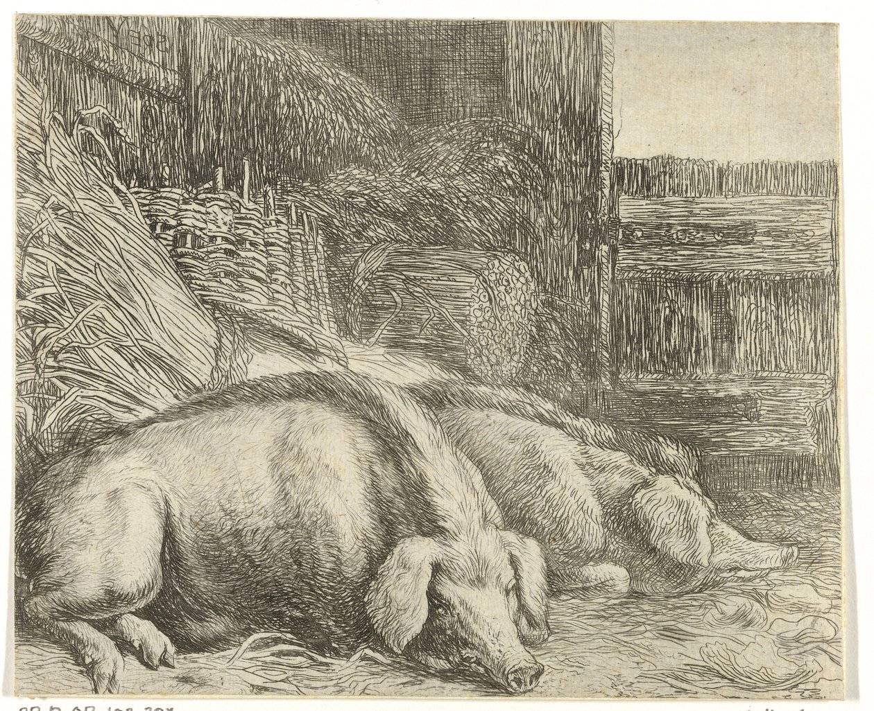 Deux cochons - Simon de Vlieger
