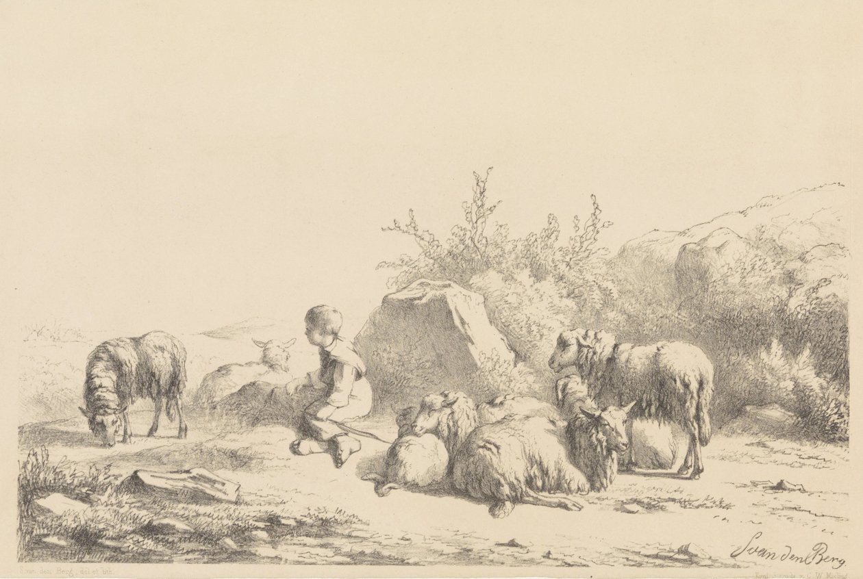 Berger et moutons - Simon van den Berg