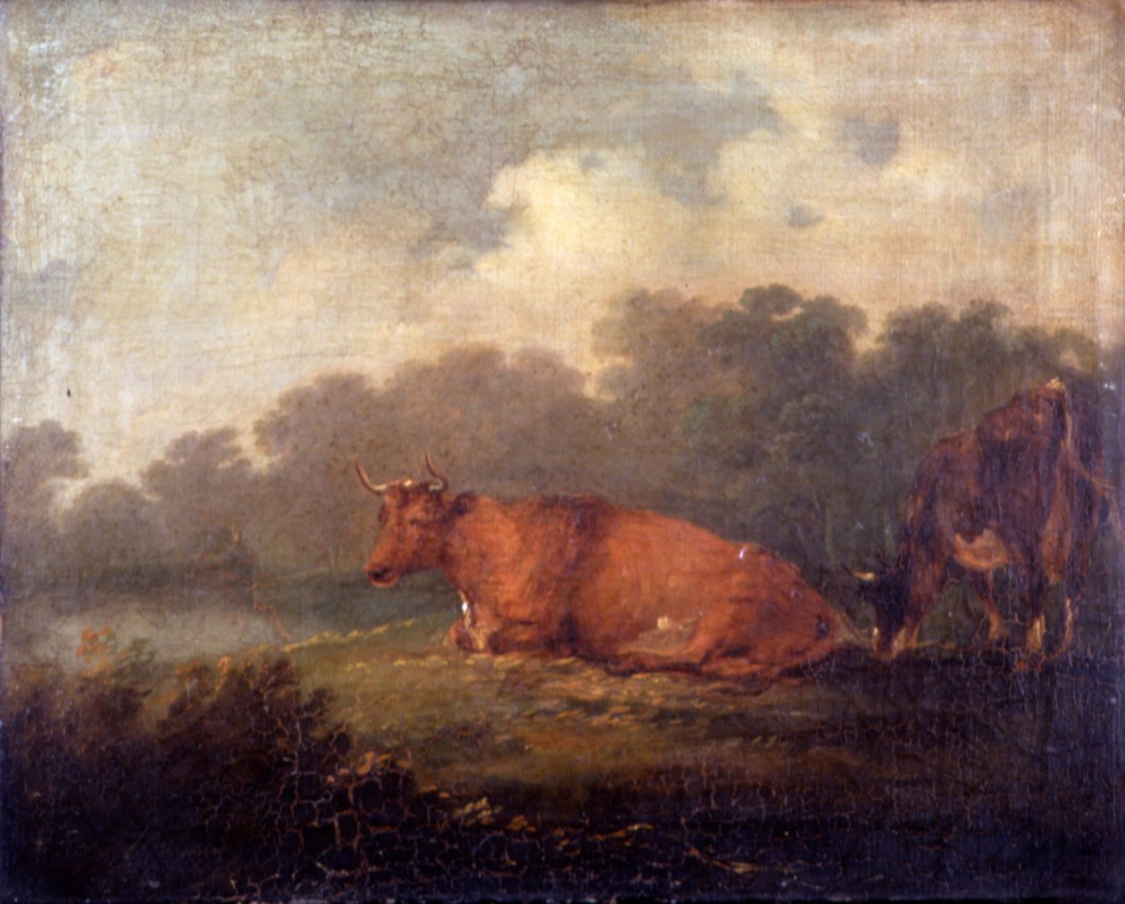 Paysage avec du bétail (Une vache au repos) - Sir Peter Francis Bourgeois