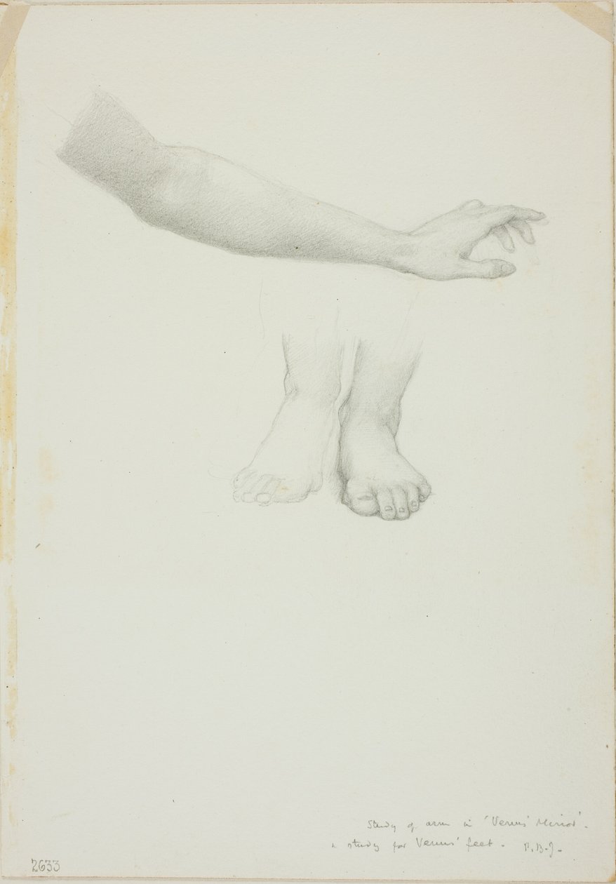 Bras et pieds, étude pour Miroir de Vénus - Sir Edward Burne Jones