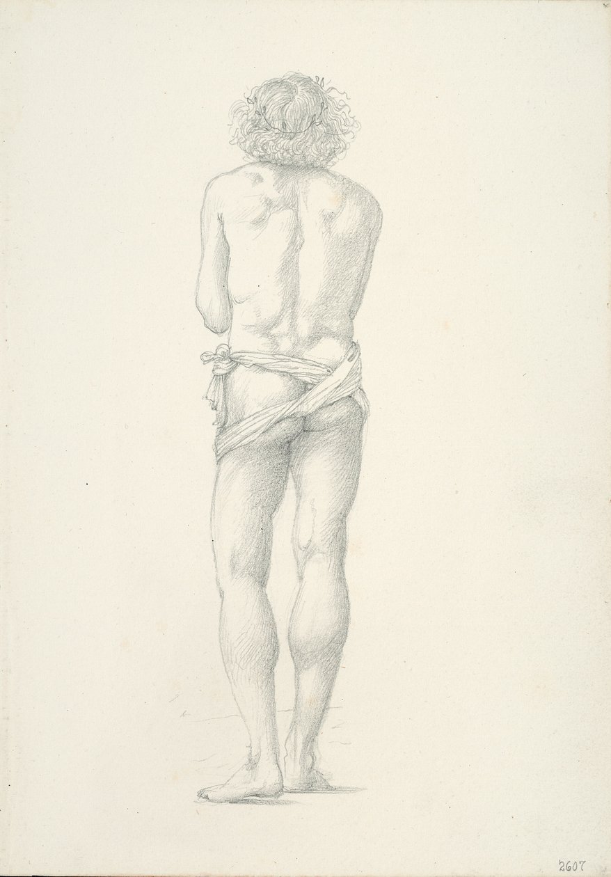 Vue de dos d