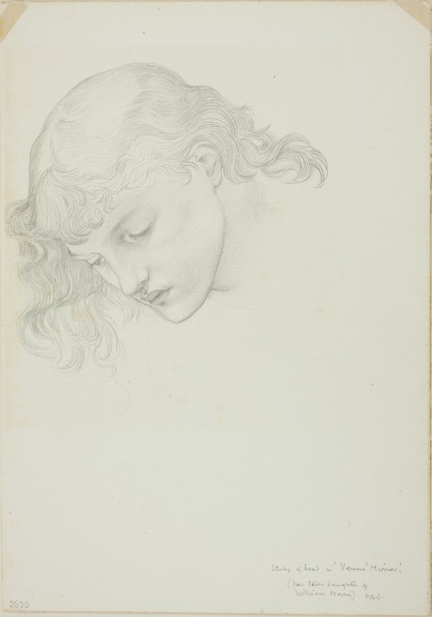 Tête, étude pour Miroir de Vénus - Sir Edward Burne Jones