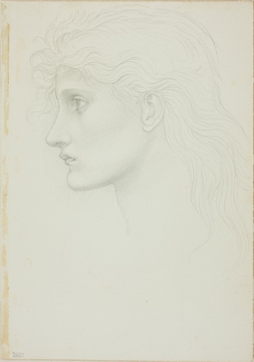 Tête de fille tournée vers la gauche - Sir Edward Burne Jones