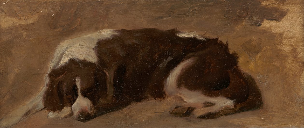 Un épagneul couché - Sir Edwin Henry Landseer