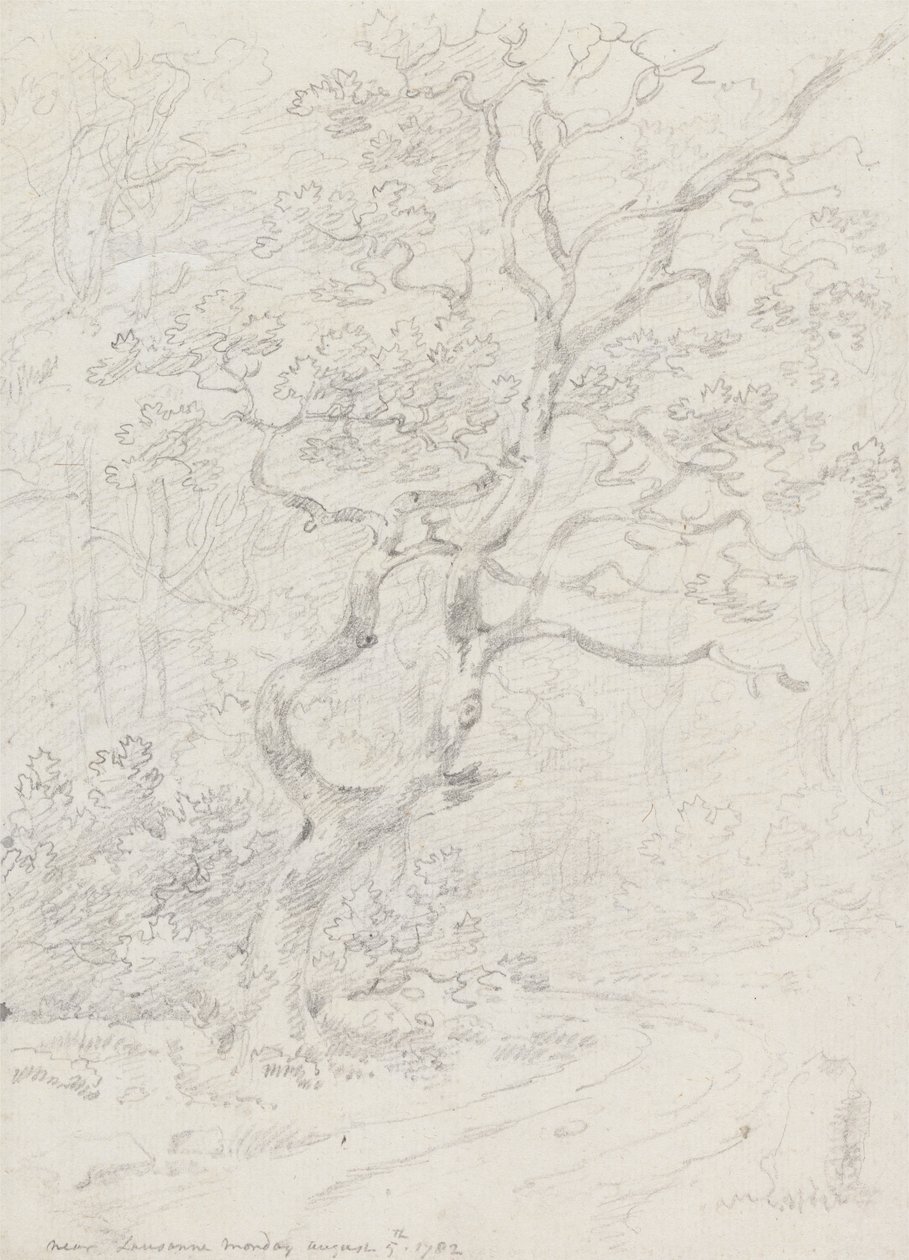 Arbres, près de Lausanne - Sir George Howland Beaumont seventh Baronet