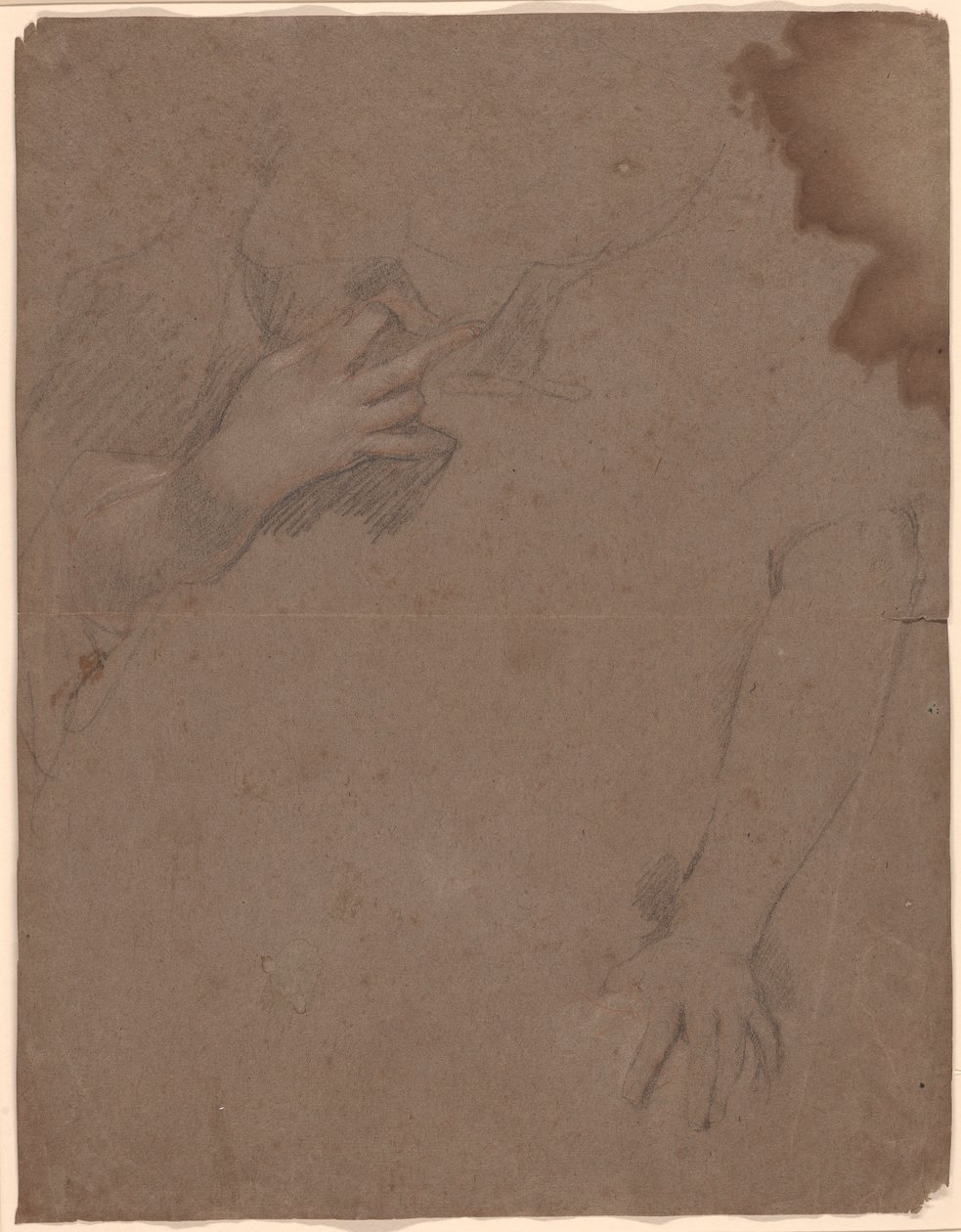 Dessins de mains - Sir Peter Lely