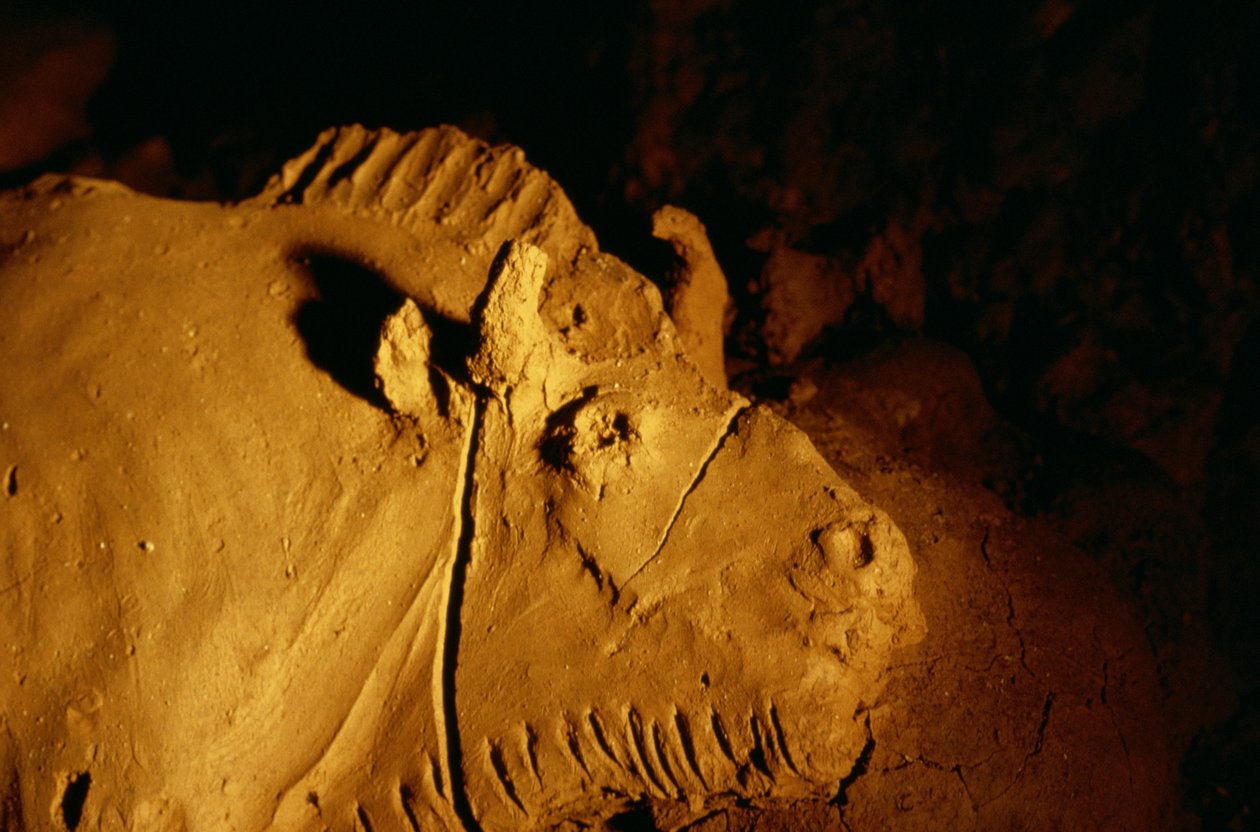 Détail d