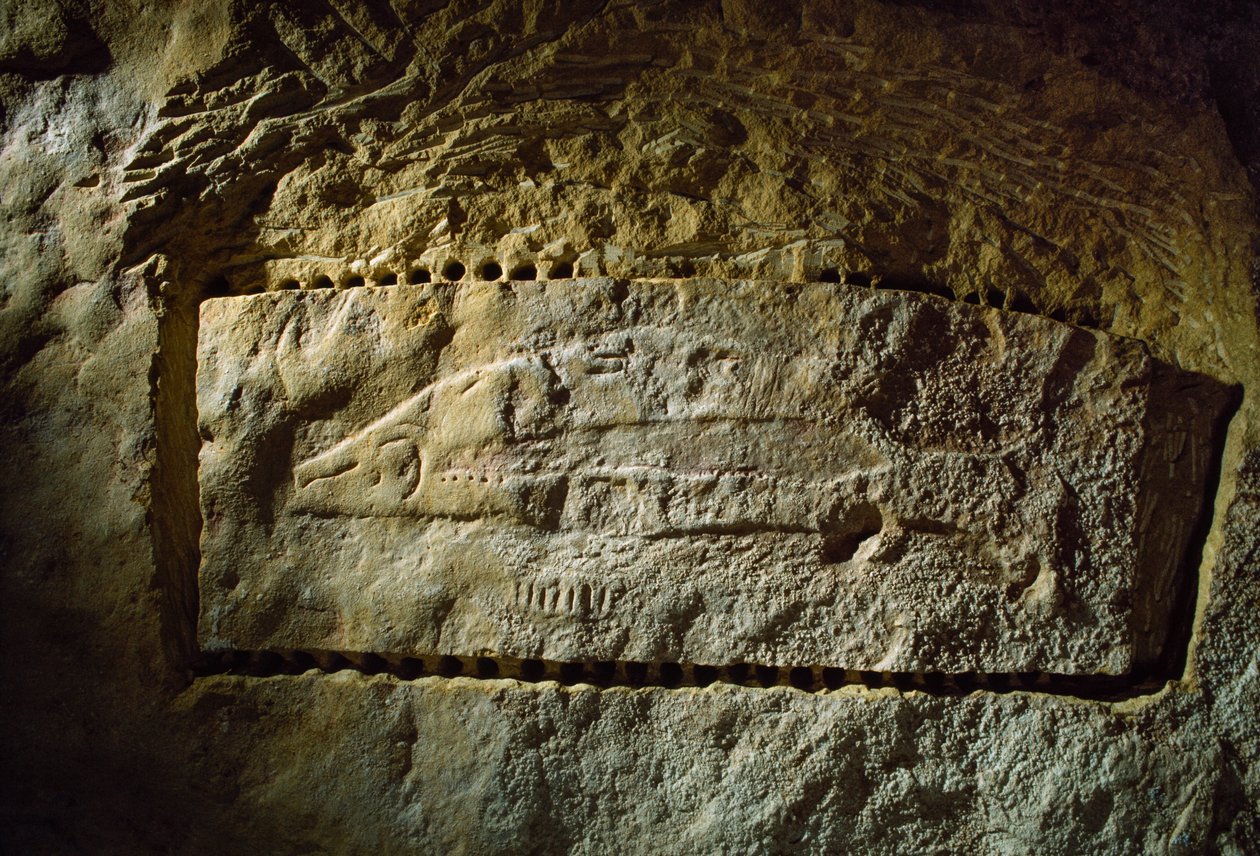 Gravure préhistorique de saumon, de l