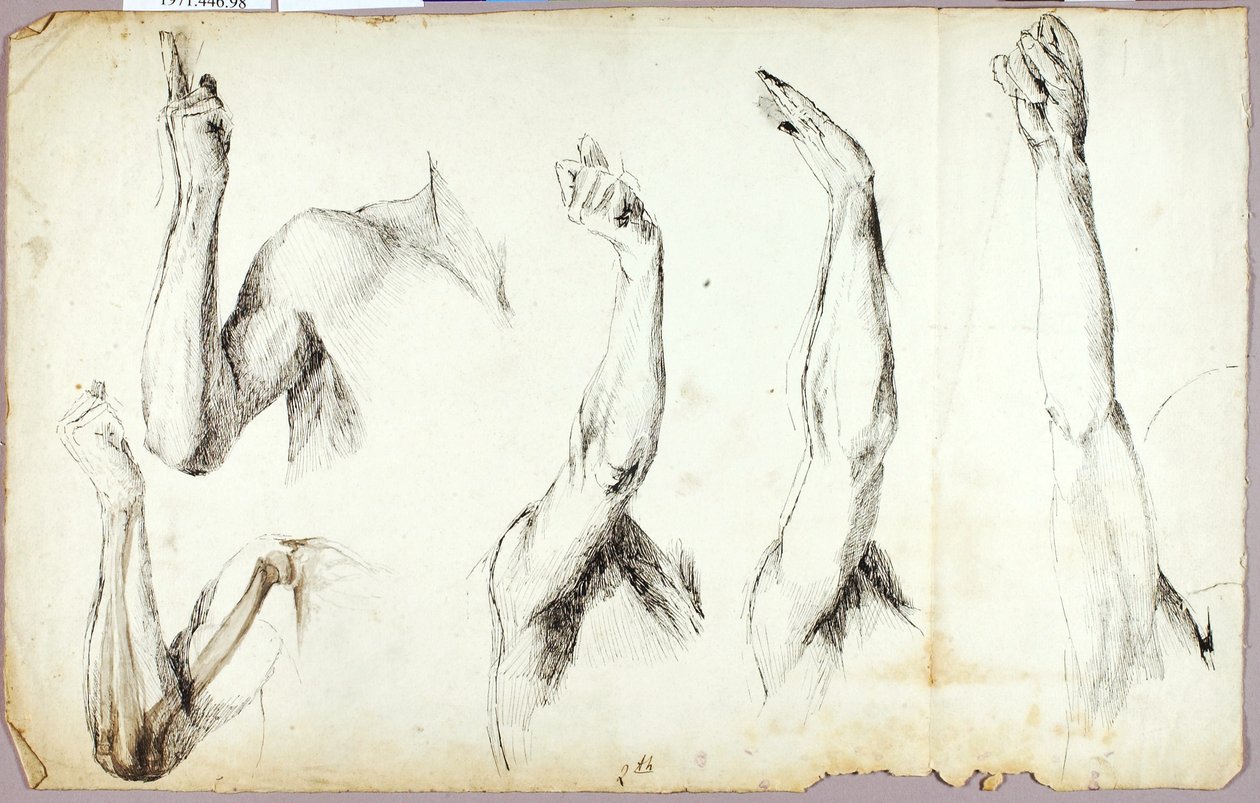 Études sur les bras, n° 2 - Solon H. Borglum