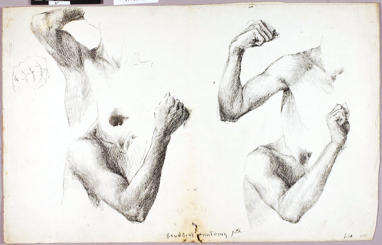 Études des quatre bras, #1 - Solon H. Borglum