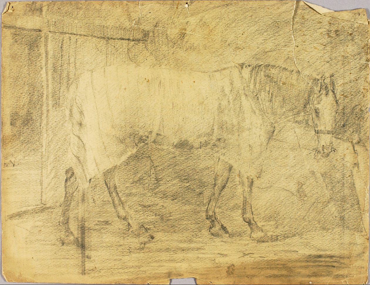 Cheval - Solon H. Borglum