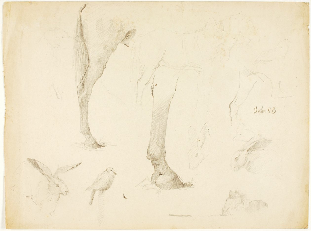 Étude sur les chevaux et les lapins - Solon H. Borglum