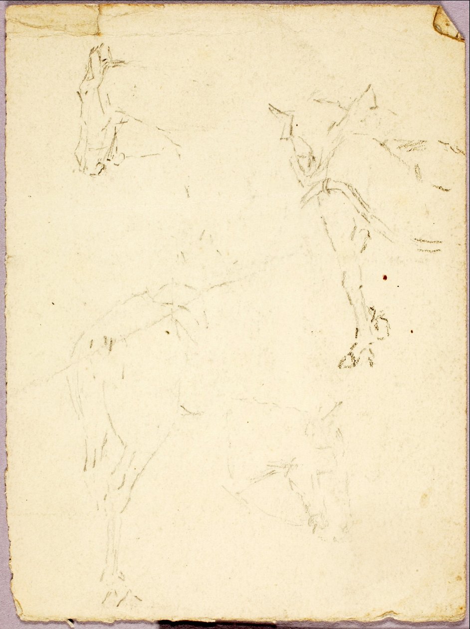 Chevaux - Solon H. Borglum