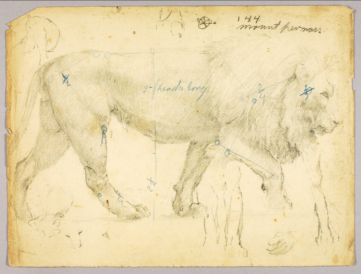 Lion - Solon H. Borglum