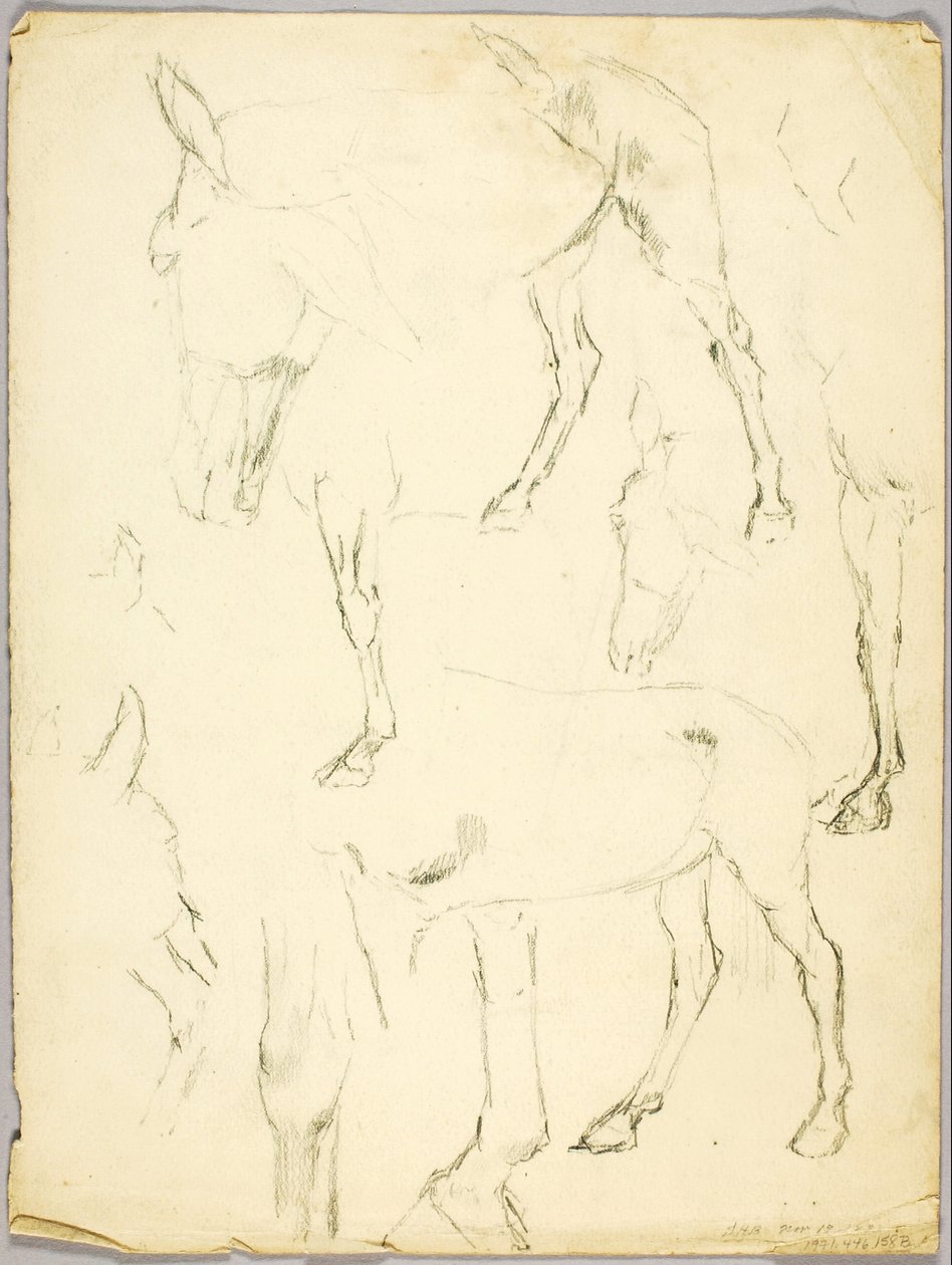 Étude de portrait, Étude de cheval - Solon H. Borglum
