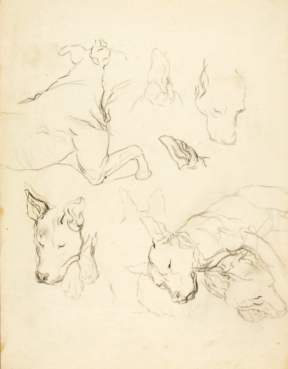 Sleeping Dogs - Solon H. Borglum