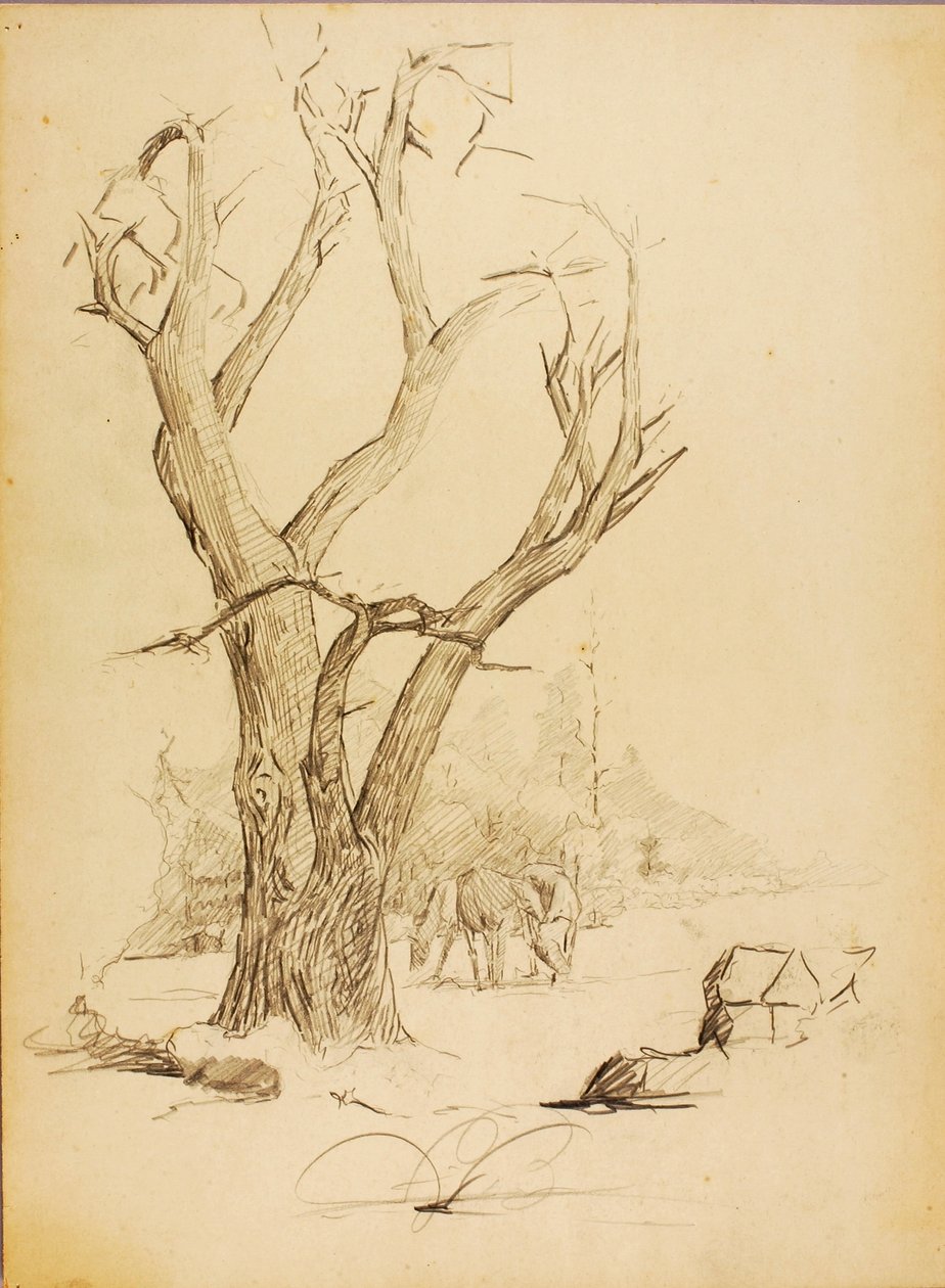 Sans titre - Solon H. Borglum