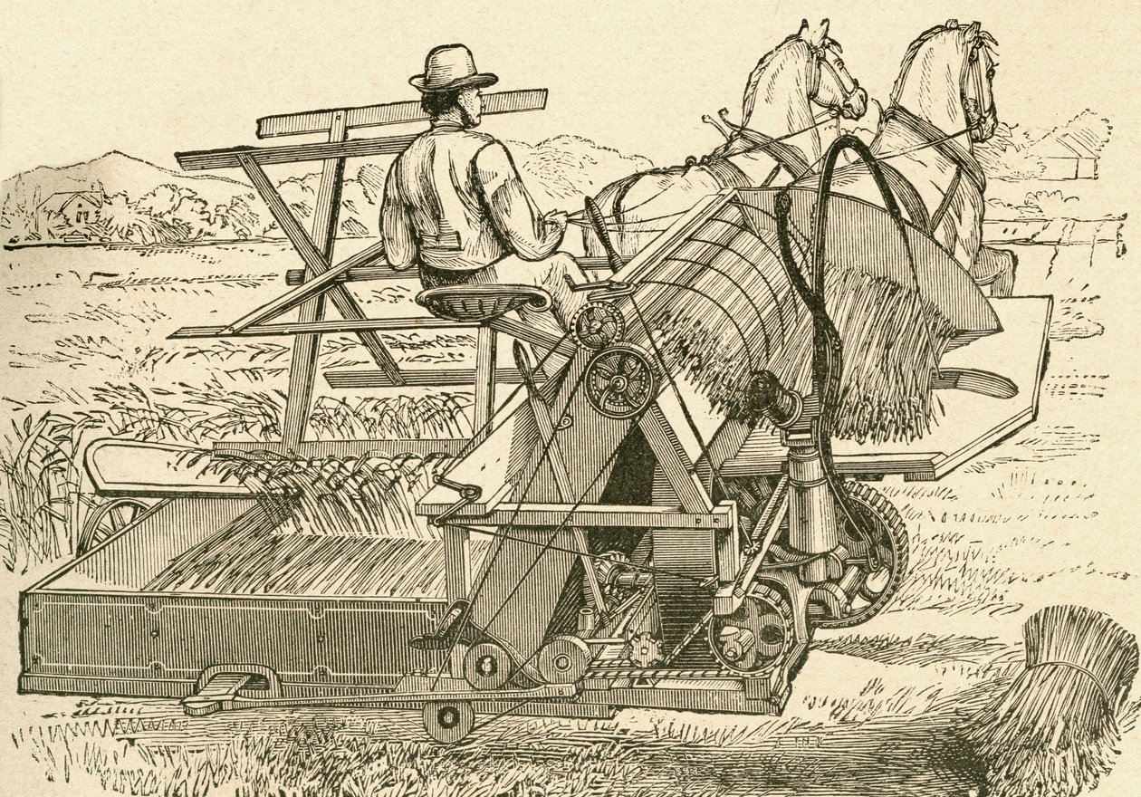 Une machine de récolte, tirée par des chevaux, qui liait mécaniquement les gerbes de blé, utilisée à la fin du XIXe siècle. Du Museo Popular publié à Madrid - Spanish School