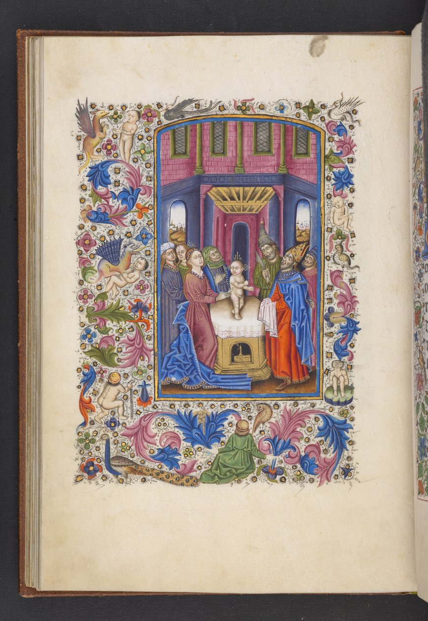 Add MS 50004 f.41v La Circoncision, d