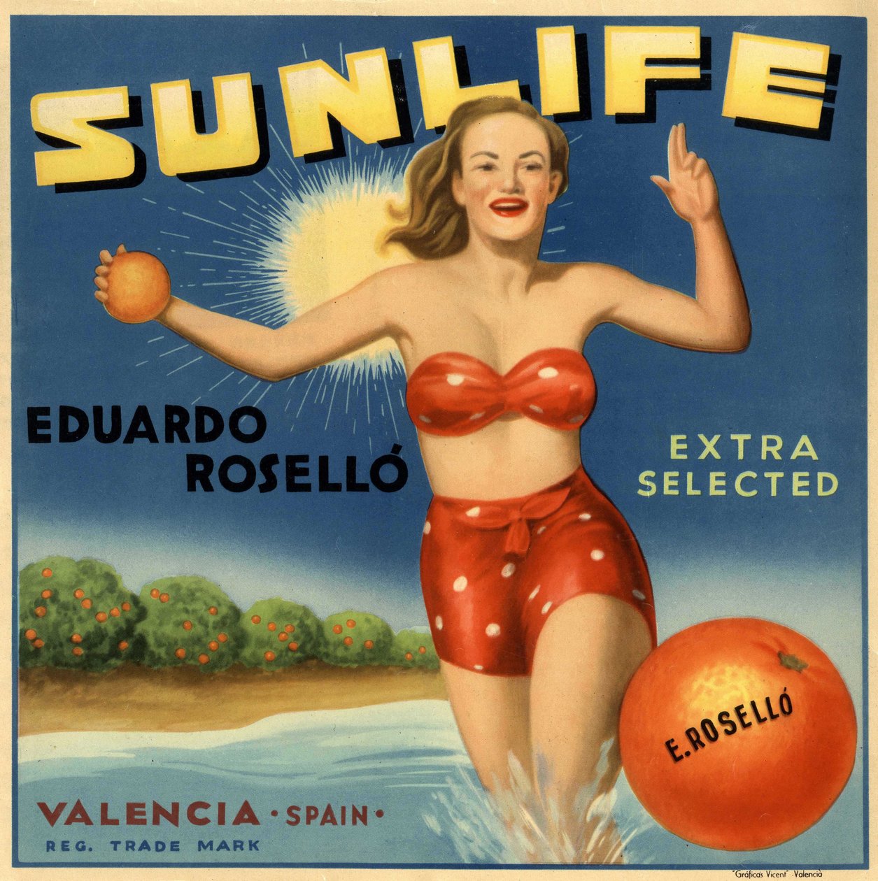 Publicité pour les oranges, image d