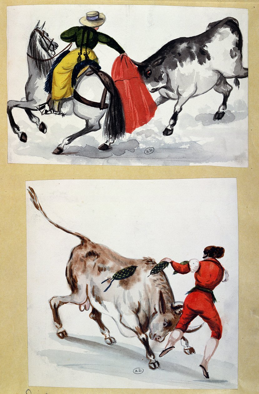Toreros - Spanish School