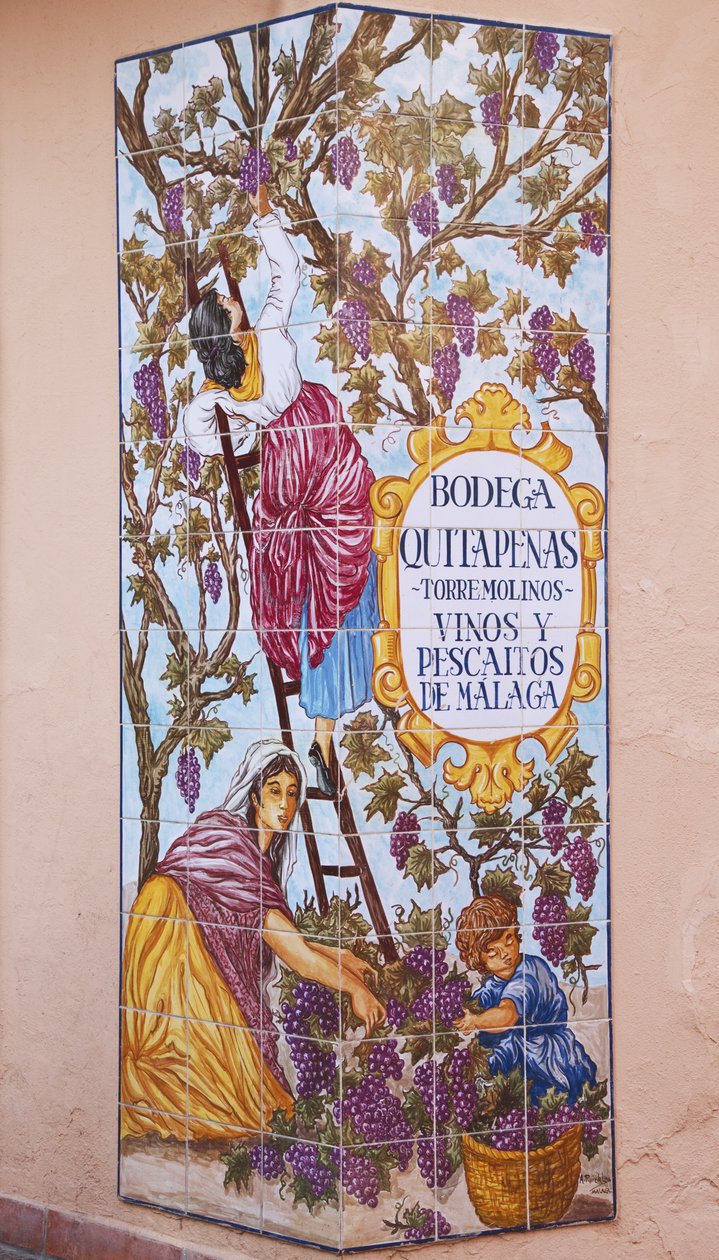 Image en carreaux de céramique de la récolte de raisins devant Bodega Quitapenas - Spanish School