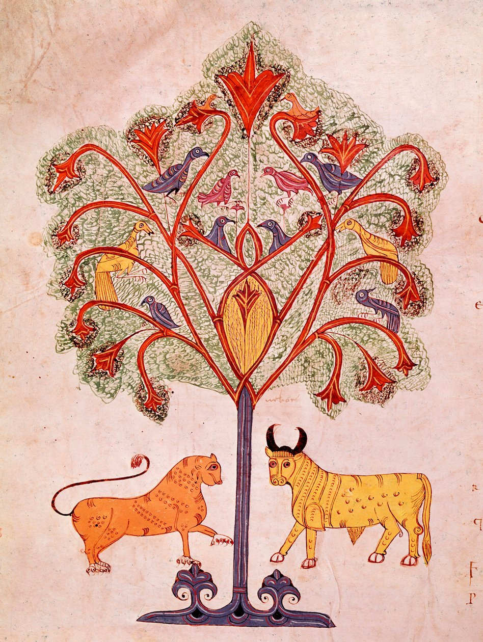 Page d
