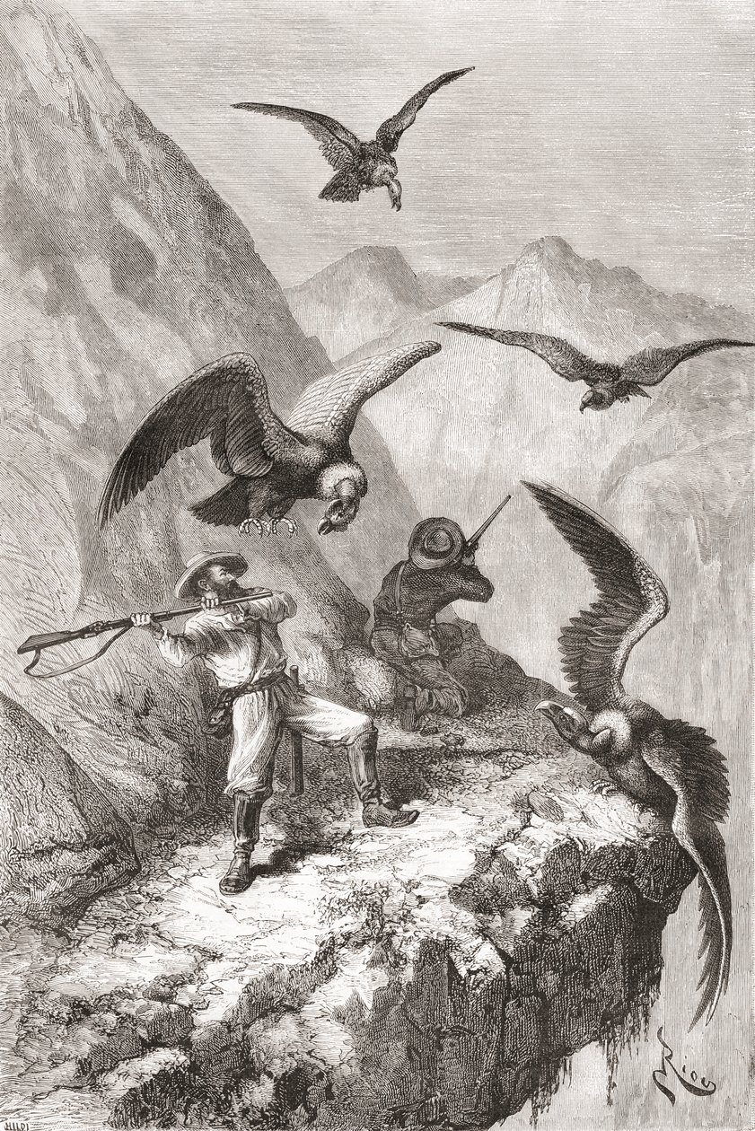 Édouard François André et son compagnon attaqués par des condors près de Calacali, province de Pichincha, Équateur, lors de son expédition botanique dans les contreforts des Andes en 1875-76 - Spanish School