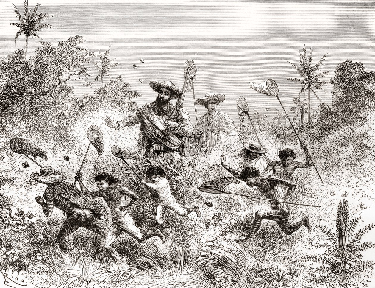 Édouard François André attrapant des papillons à Villavicencio, Venezuela, lors de son expédition botanique dans les contreforts des Andes en 1875-76 - Spanish School