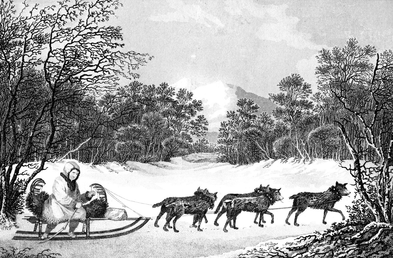 La manière de voyager en hiver au Kamtchatka, 19ème siècle - Sparrow