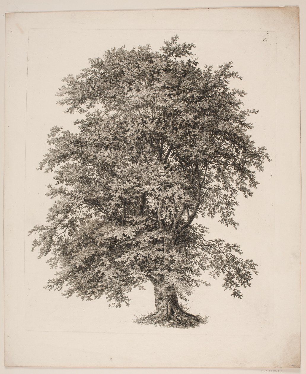 "Études d