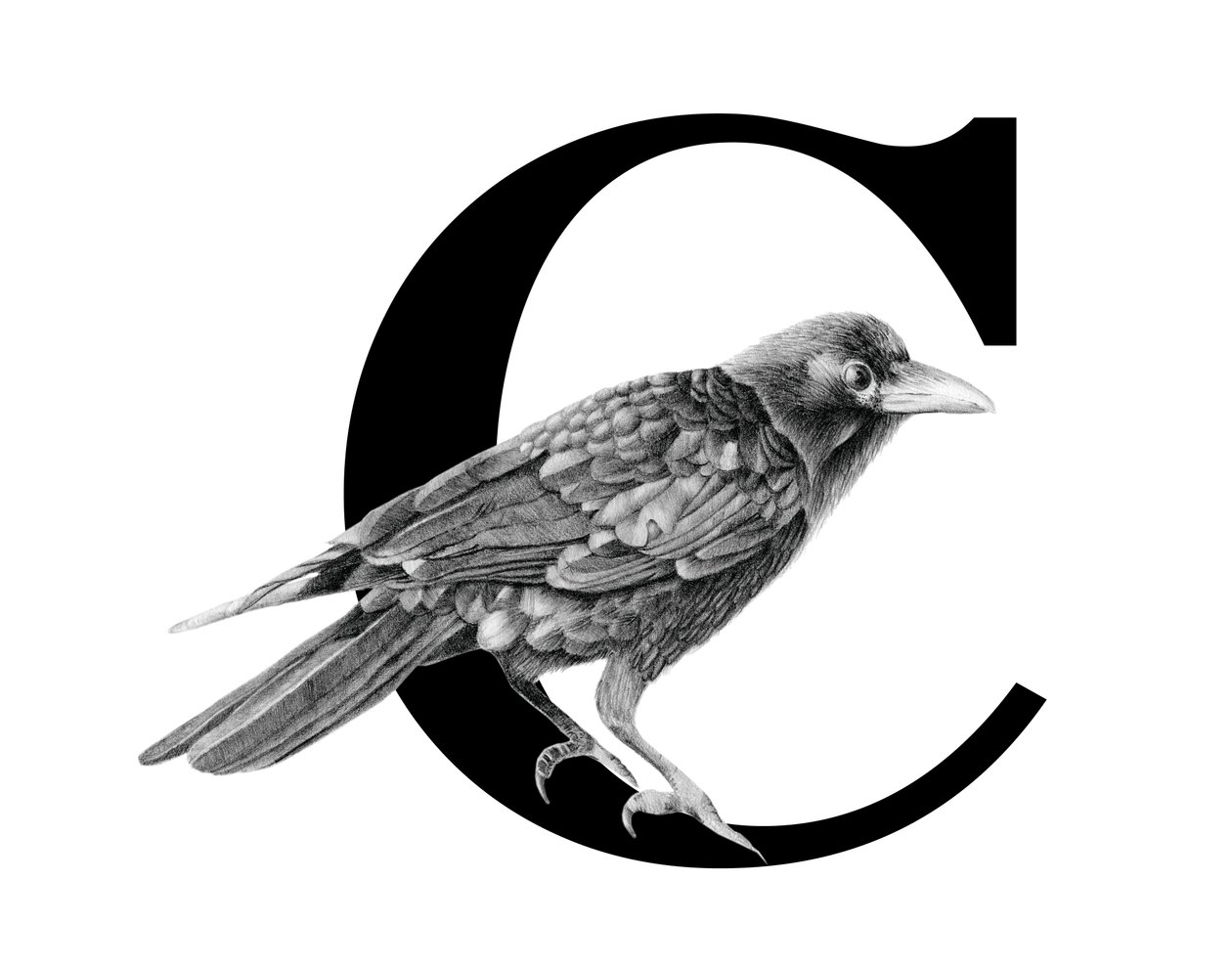 C est pour Corbeau - Stacy Hsu