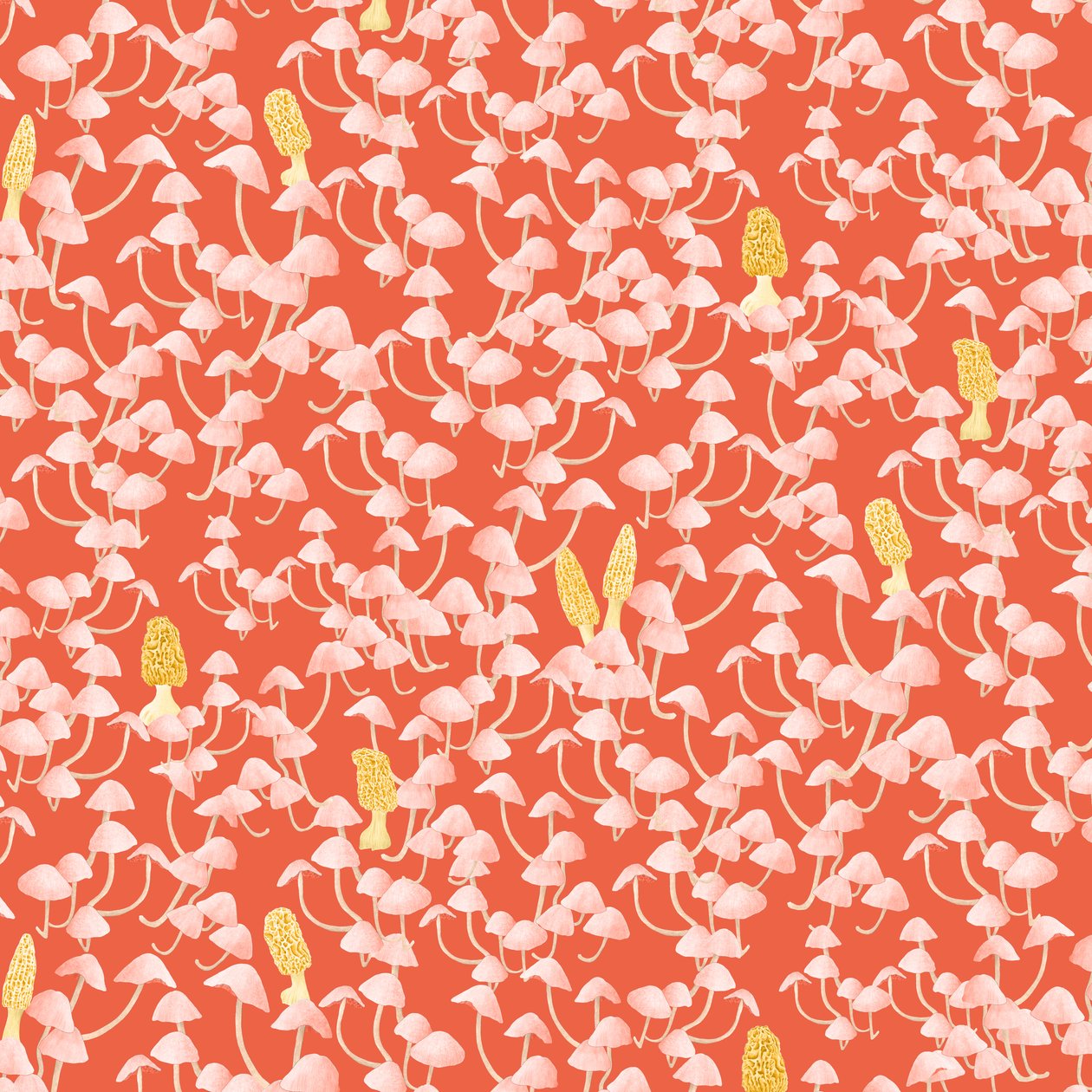 Motif de champignons coloris 1, 2022 - Stacy Hsu
