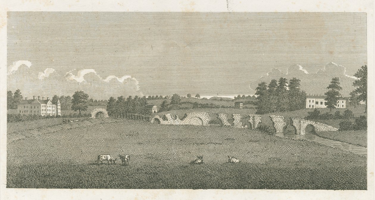 Pont de Wolseley : gravure - Stebbing Shaw
