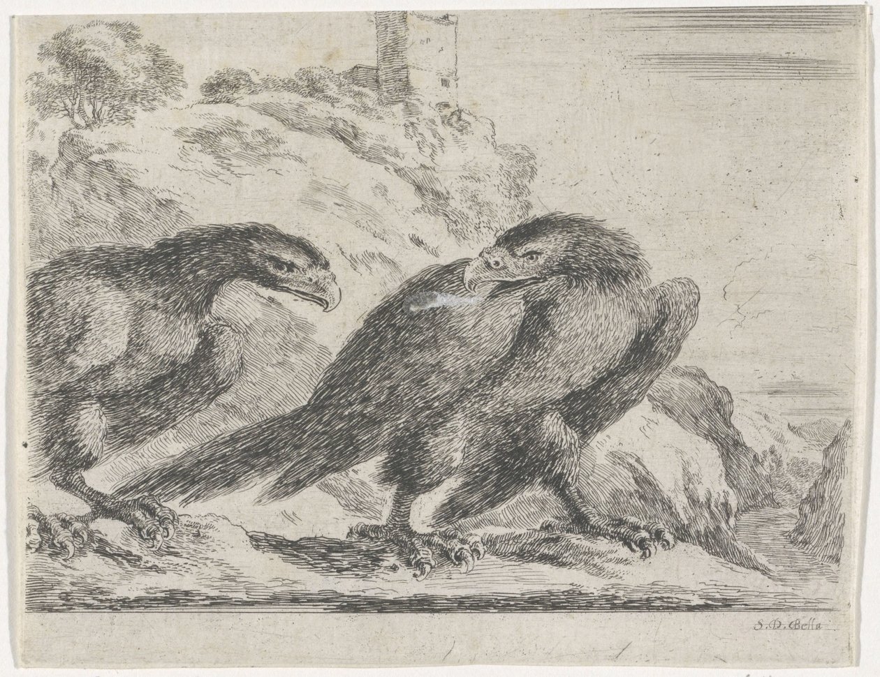 Aigle marchant vers la droite, regardant un autre aigle - Stefano della Bella