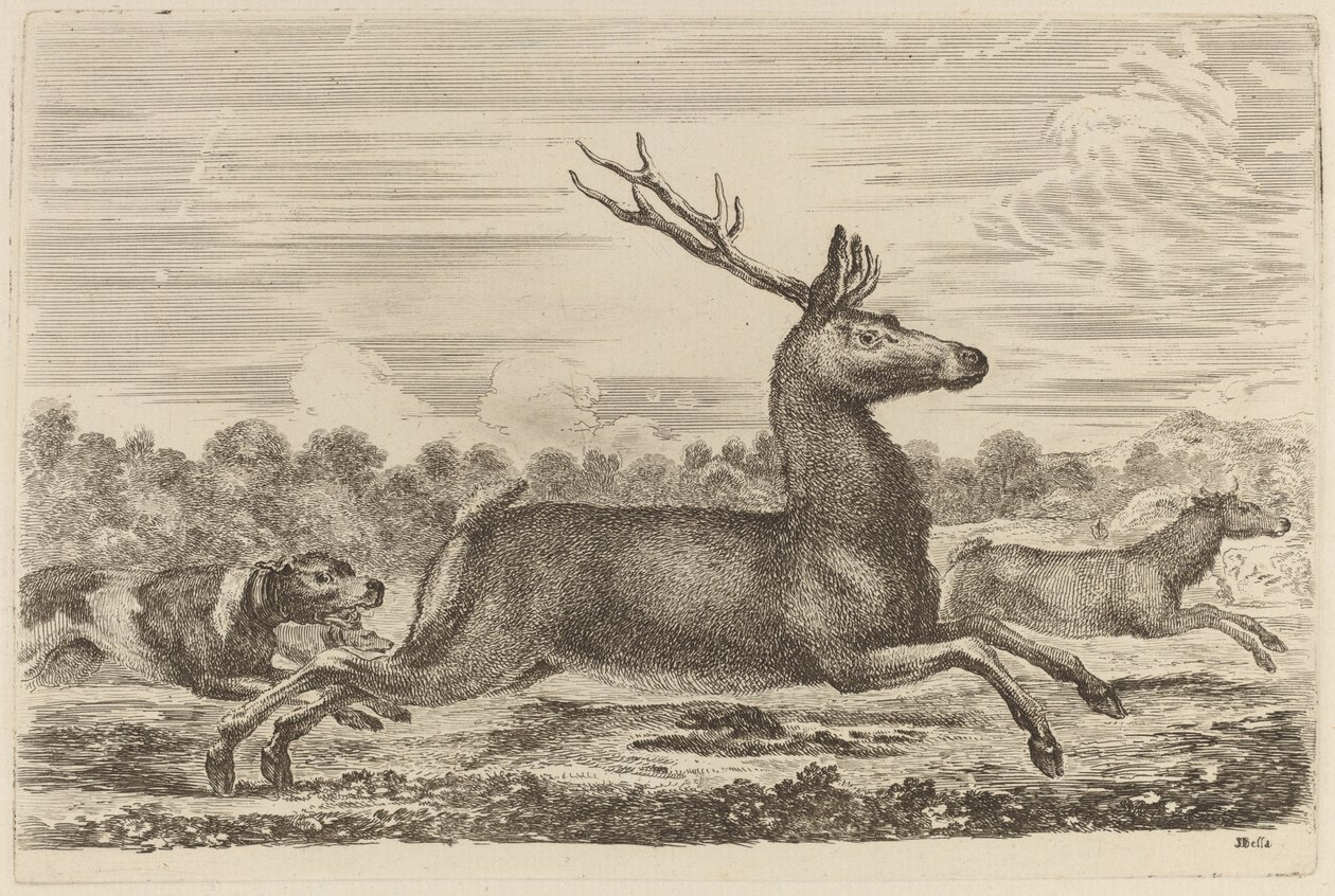 Cerf chassé par deux chiens vers la gauche - Stefano della Bella
