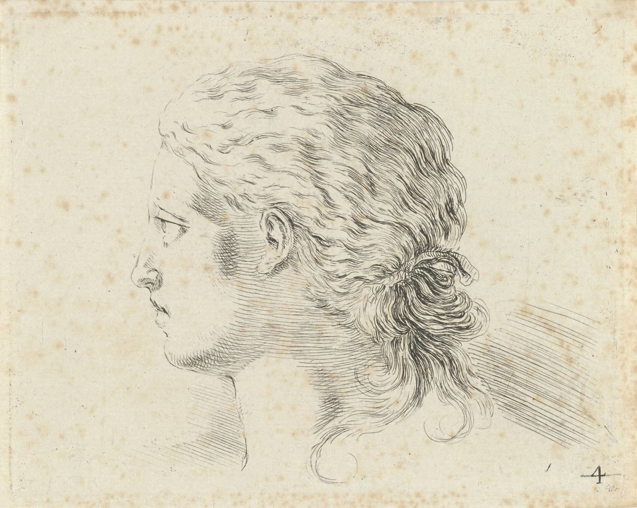 Tête de femme, de profil vers la gauche - Stefano della Bella