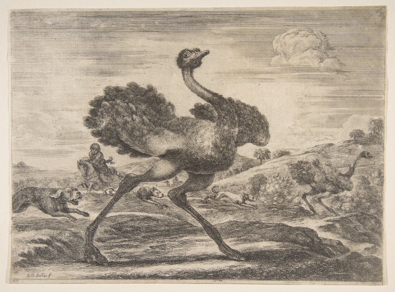 Chasse à l