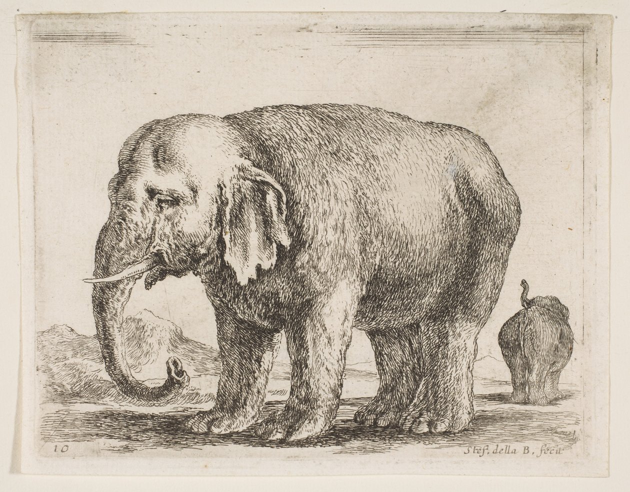 Planche 10 : éléphant, de Divers animaux, vers 1641 - Stefano della Bella