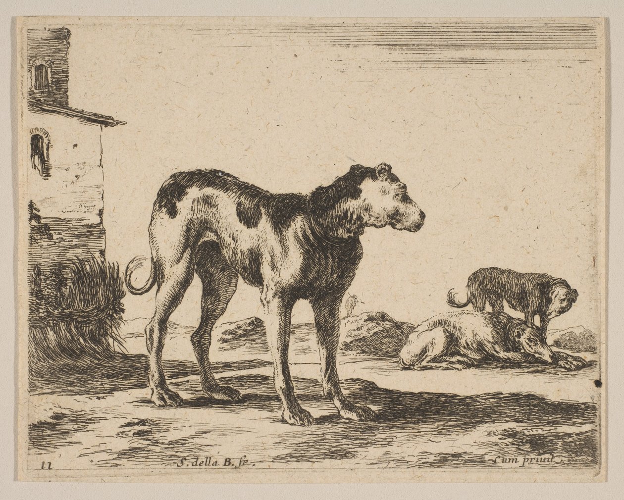 Planche 11 : chiens, de Divers animaux Diversi animali - Stefano della Bella