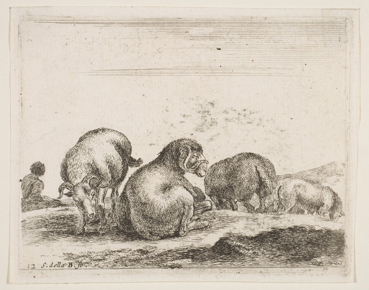 Planche 12 : moutons et bélier dans un pâturage, de Divers animaux - Stefano della Bella