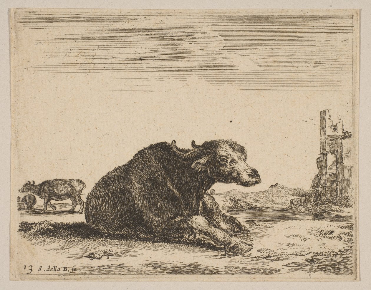Planche 13 : buffle couché, de Divers animaux Diversi animali, vers 1641 - Stefano della Bella