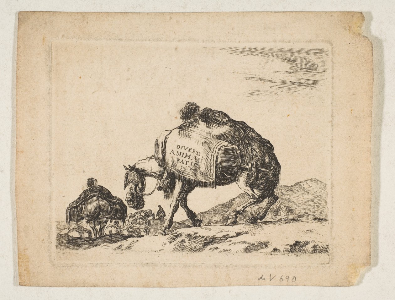 Planche 1 : un cheval de bât, de 