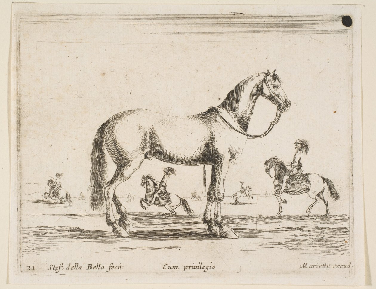 Cheval, de Diversi animali, 1641 - Stefano della Bella