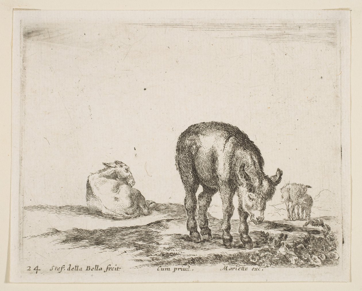 Ânes, de Divers animaux, vers 1641 - Stefano della Bella