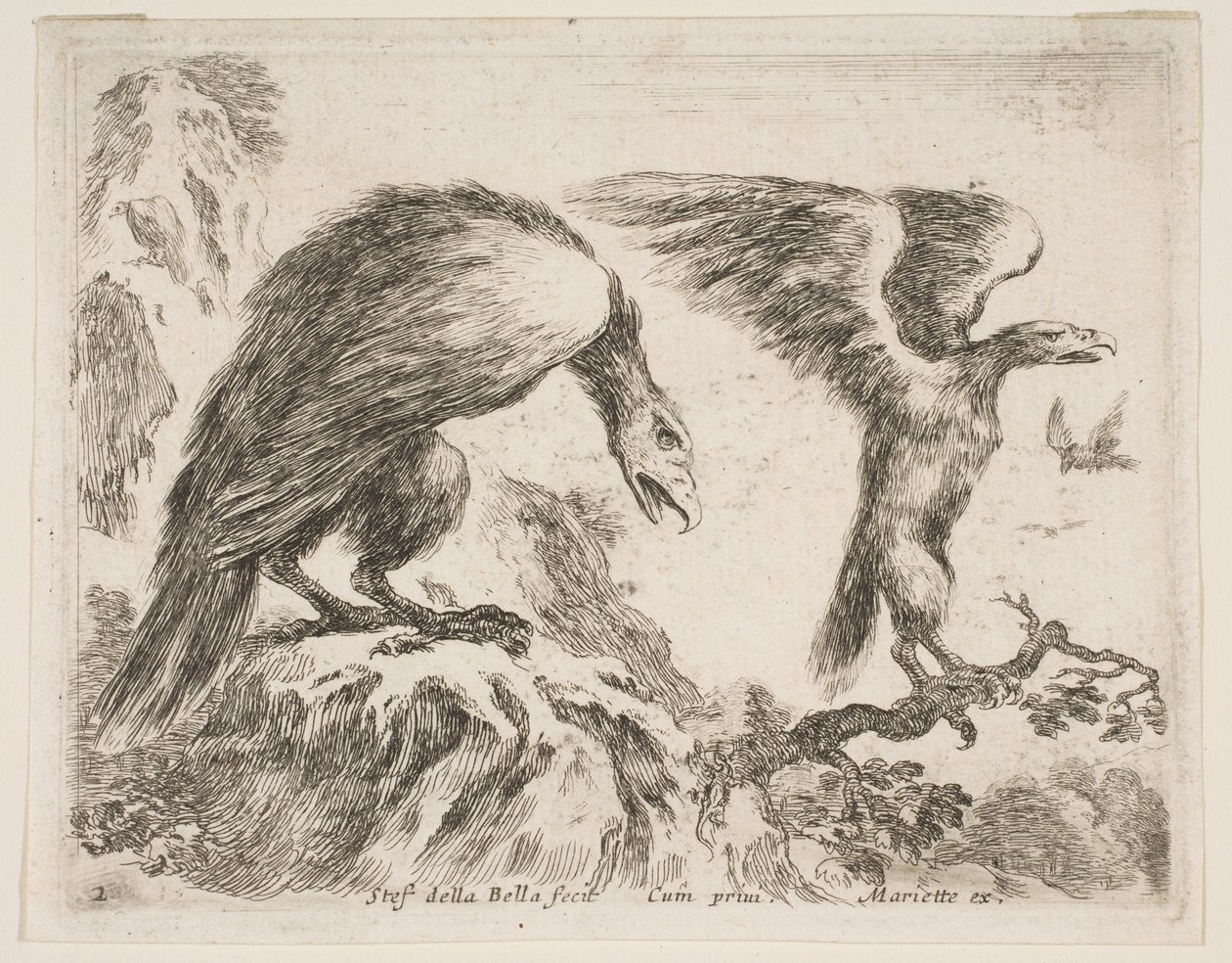 Planche 2 : aigle et aiglon, de Divers animaux - Stefano della Bella