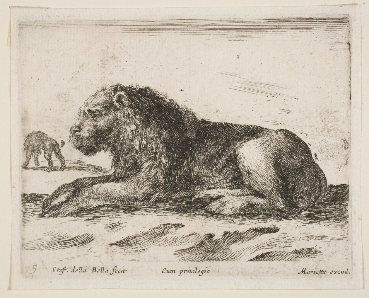 Lion couché, de Diversi animali - Stefano della Bella