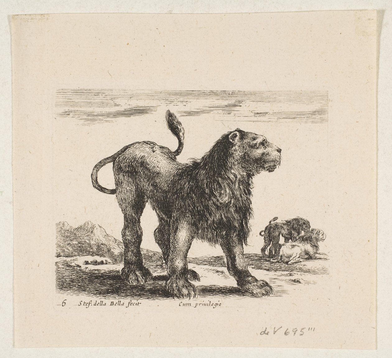 Planche 6 : lion, de 