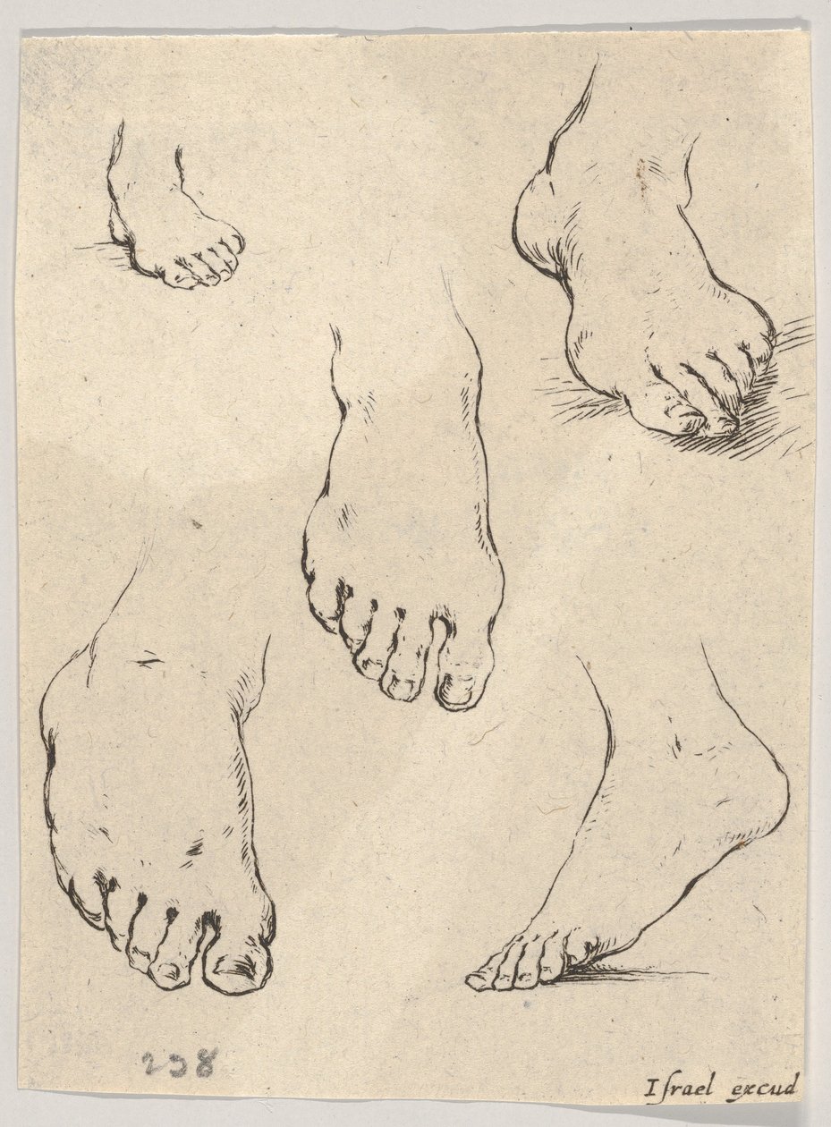 Planche 7 : Cinq pieds, du Livre pour apprendre à dessiner - Stefano della Bella
